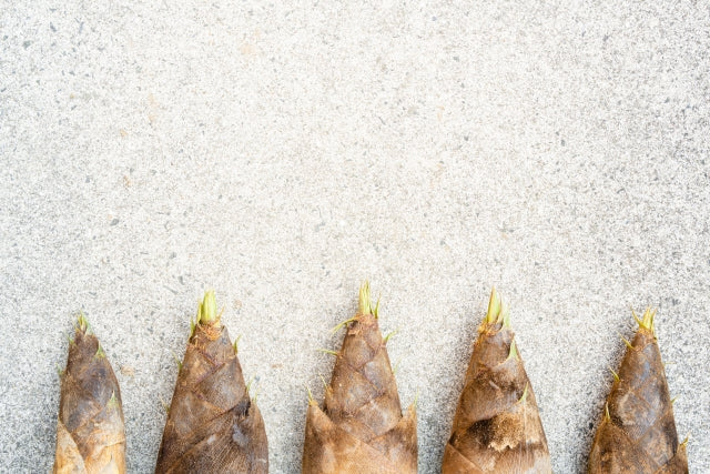 春野菜の種類と特徴：旬の味を楽しむ食材ガイド