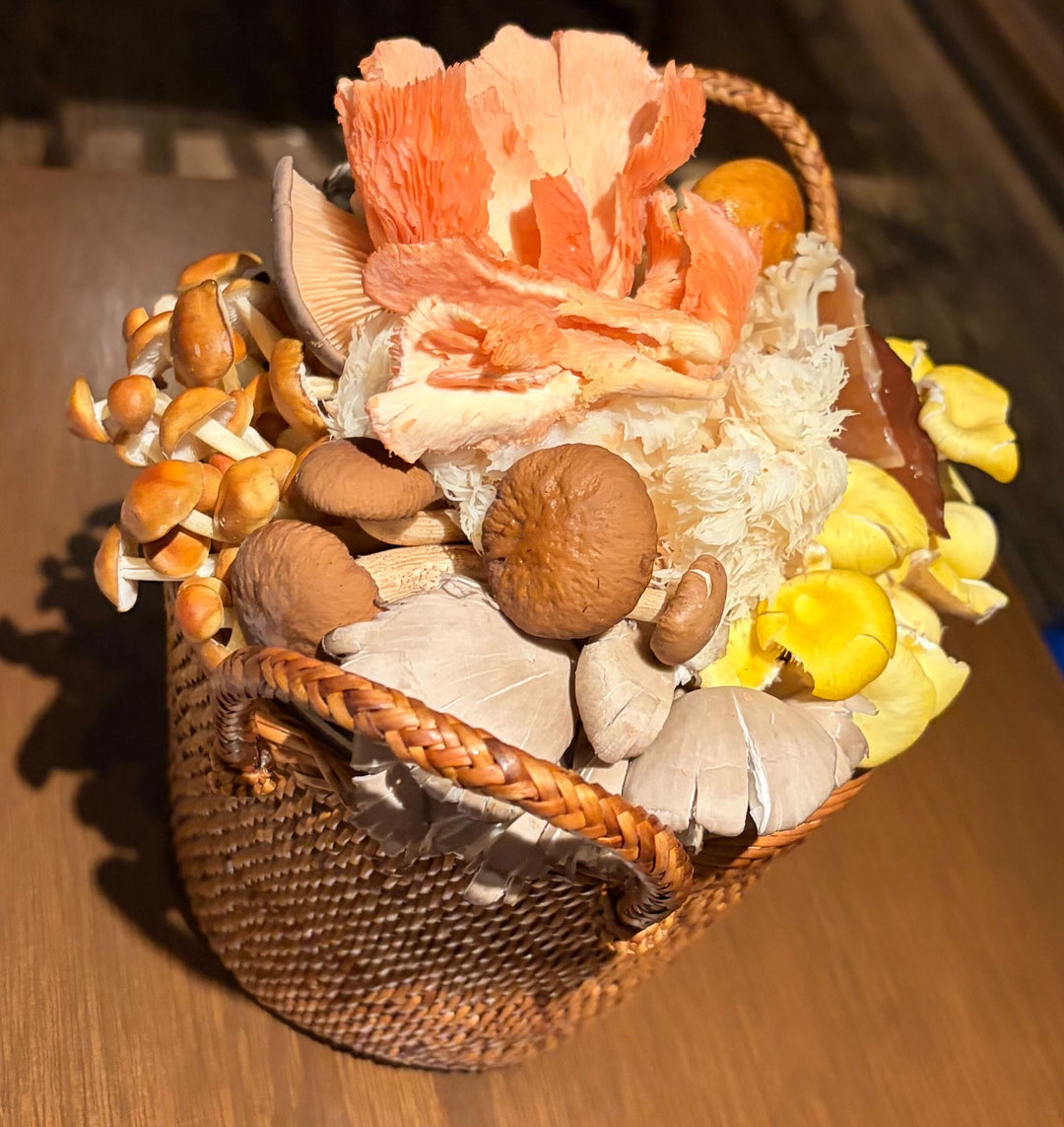 キノコ盛りだくさん？！火鍋・薬膳鍋🍄🍲