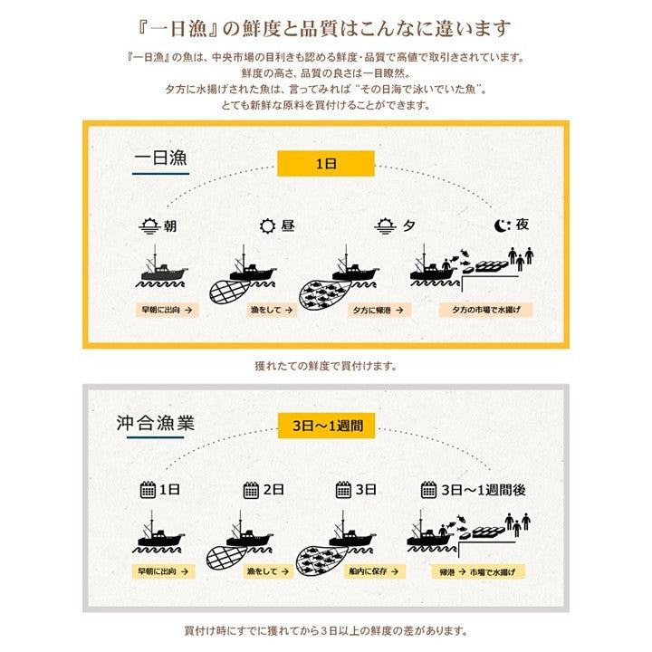 『あなご＆3種ひもの詰合せ』島根県沖【送料無料】※北海道・沖縄県・離島除く