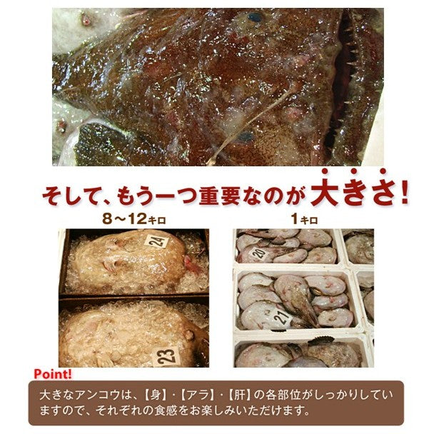 あんこう鍋セット800g～スープ付【送料無料】※北海道・沖縄県・離島除く